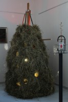 /album/miro-pallo/stoh-i-jpg1/